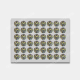 Bubblegum Marshmallow Mylar Bag 3.5 Grams