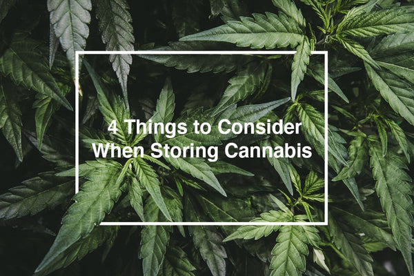 4 Things to Consider When Storing Cannabis