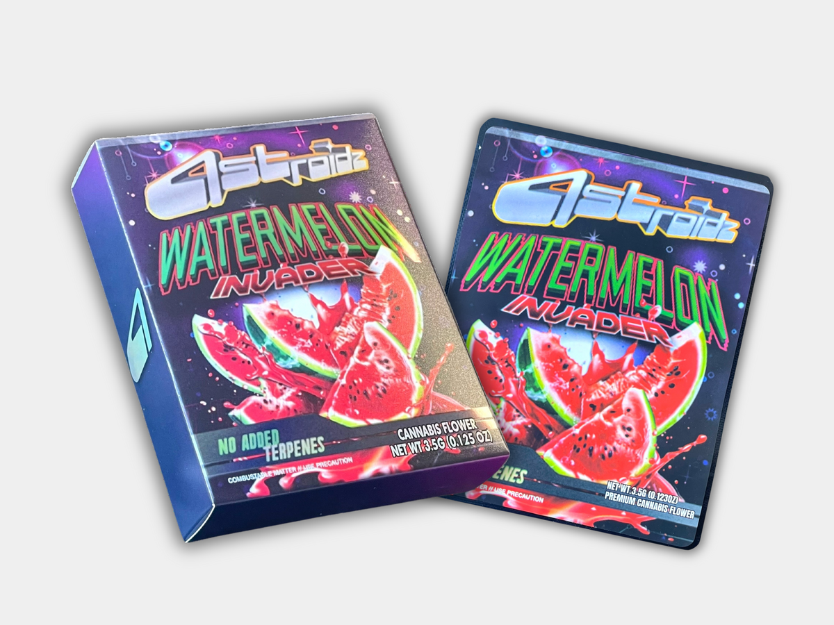 Astroidz Watermelon Invader Mylar Bag 3.5G | Smell Proof – Gorilla