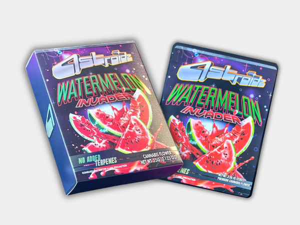 Astroidz Watermelon Invader Mylar Bag With Box 3.5G